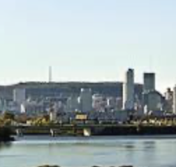  Julie R., Agency Manager