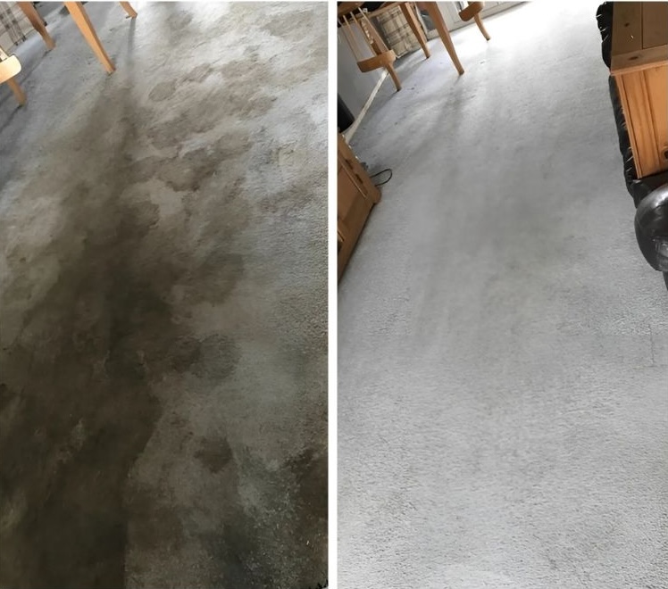 Office carpet after professional restoration cleaning